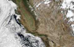 crefl_2000170_1900_1km_sequoia_geo143.jpg (877203 bytes)