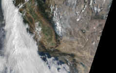 crefl_2000212_1935_1km_sequoia_geo143.jpg (692305 bytes)